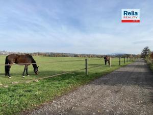 Prodej pozemku pro bydlení, Paceřice, 1000 m2