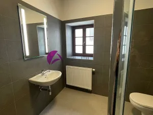 Pronájem bytu 1+kk, Olomouc, Ztracená, 36 m2