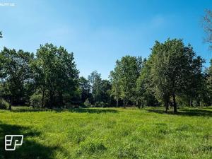 Pronájem komerčního pozemku, Jeníkov, 13072 m2