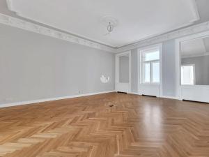 Pronájem obchodního prostoru, Praha - Nové Město, Vodičkova, 370 m2