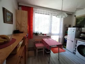 Prodej bytu 1+1, Vyškov, Puškinova, 38 m2