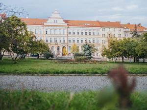 Pronájem bytu 1+kk, Praha - Nusle, Petra Rezka, 24 m2