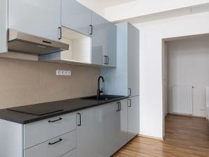 Pronájem bytu 1+kk, Praha - Nové Město, Navrátilova, 30 m2