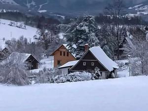 Prodej chalupy, Vysoké nad Jizerou, K. Havlíčka Borovského, 164 m2