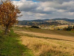 Prodej chalupy, Vysoké nad Jizerou, K. Havlíčka Borovského, 164 m2