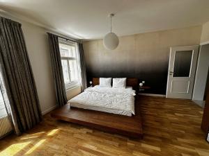 Prodej bytu 1+kk, Praha - Nové Město, Petrská, 45 m2