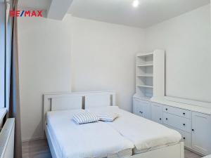 Pronájem bytu 2+kk, Praha - Žižkov, Viklefova, 47 m2