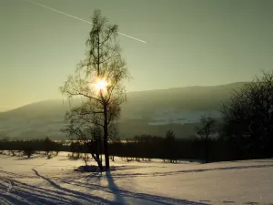 Dražba bytu 2+1, Staré Město, Smetanova, 90 m2