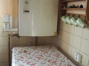 Dražba bytu 2+1, Staré Město, Smetanova, 90 m2