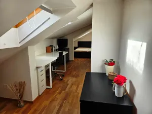 Pronájem bytu 2+kk, Praha - Smíchov, Preslova, 61 m2