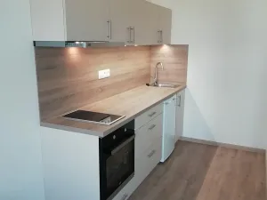 Pronájem bytu 1+kk, Olomouc, 30 m2