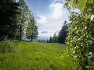 Prodej pozemku pro bydlení, Horní Bečva, 1629 m2