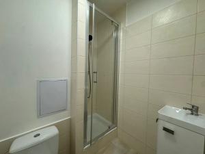 Pronájem bytu 1+kk, Příbram, Plzeňská, 23 m2