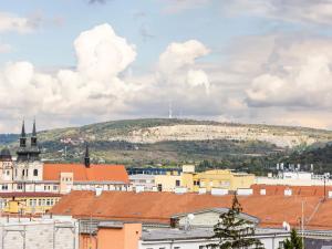 Pronájem bytu 1+kk, Brno, Cejl, 40 m2