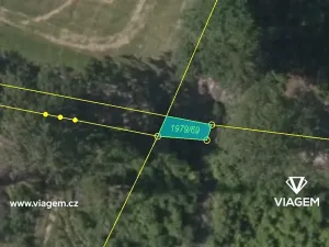 Prodej podílu lesa, Dolany, 293 m2