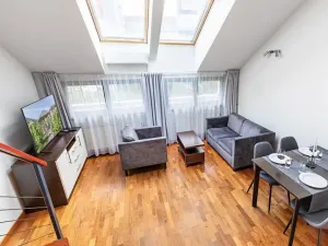 Pronájem bytu 1+kk, Praha - Nové Město, Na slupi, 45 m2