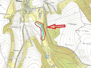 Prodej lesa, Vinary, 5305 m2