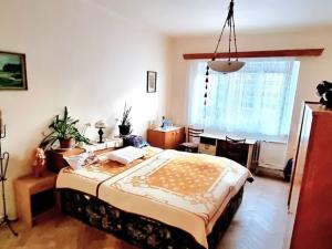 Prodej bytu 2+kk, Praha - Strašnice, Svojetická, 53 m2