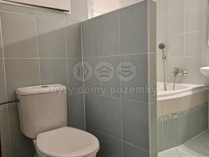 Pronájem bytu 2+kk, Olomouc, Družební, 50 m2