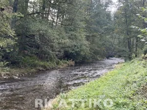 Prodej chaty, Žďárec, 70 m2