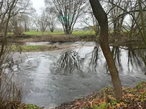 Prodej chaty, Žďár nad Orlicí, 30 m2