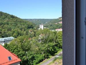 Prodej bytu 3+kk, Jáchymov, Mánesova, 115 m2