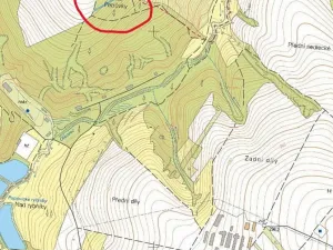 Prodej lesa, Popovice, 1303 m2