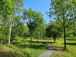 Pronájem kanceláře, Praha - Chodov, Tomíčkova, 5000 m2