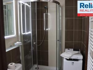 Pronájem bytu 1+kk, Liberec, Sosnová, 32 m2