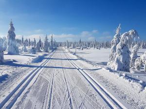 Prodej rodinného domu, Jablonec nad Nisou - Mšeno nad Nisou, 9. května, 150 m2