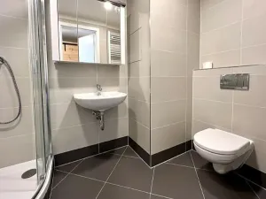 Pronájem bytu 1+kk, Praha - Třebonice, U Radosti, 32 m2