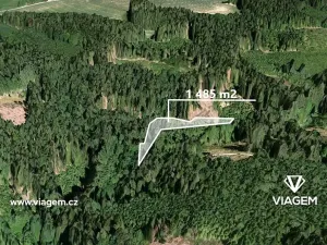 Prodej podílu lesa, Vysoké nad Jizerou, 742 m2