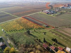 Prodej sadu/vinice, Velké Bílovice, U Rybníka, 2791 m2