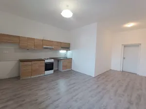 Pronájem bytu 2+1, Úžice, 90 m2