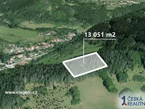 Prodej podílu lesa, Koroužné, 3262 m2