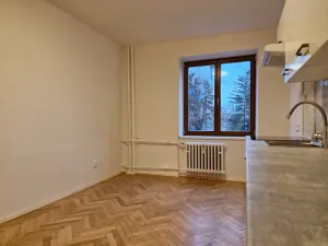 Pronájem bytu 1+kk, Praha - Žižkov, Pod lipami, 22 m2