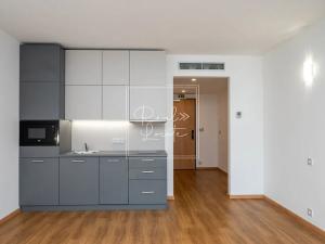 Pronájem bytu 1+kk, Praha - Holešovice, Tusarova, 32 m2