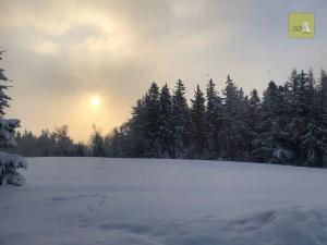 Prodej rodinného domu, Janské Lázně, Janská, 100 m2