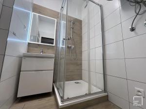 Pronájem bytu 1+1, České Budějovice, Kostelní, 43 m2