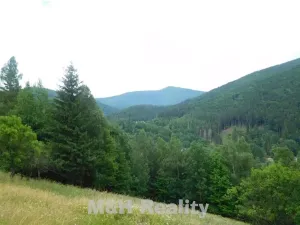 Prodej louky, Ostravice, 3221 m2