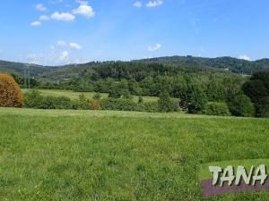 Prodej louky, Hodkovice nad Mohelkou, 49051 m2