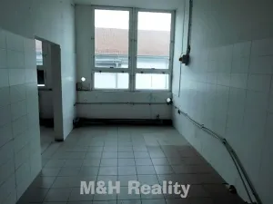 Pronájem výrobních prostor, Frýdlant nad Ostravicí, 100 m2