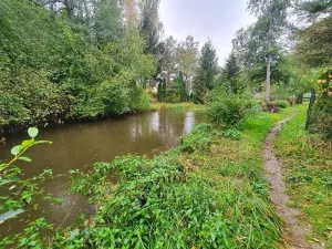 Prodej chaty, Vyskytná nad Jihlavou, 55 m2