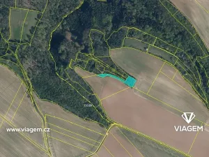 Prodej podílu lesa, Kokořín, 491 m2