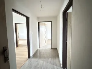 Dražba činžovního domu, Planá, Karlín, 470 m2