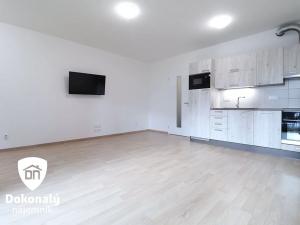 Pronájem bytu 1+kk, Praha - Žižkov, Olgy Havlové, 38 m2