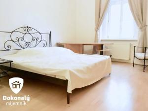 Pronájem bytu 3+1, Praha - Vinohrady, Balbínova, 98 m2