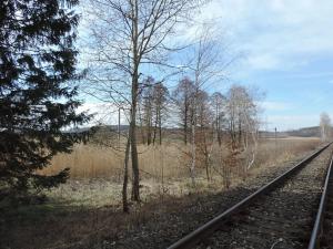 Prodej pozemku, Brniště, 3690 m2