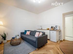 Pronájem bytu 1+kk, Praha - Braník, Na Mlejnku, 29 m2