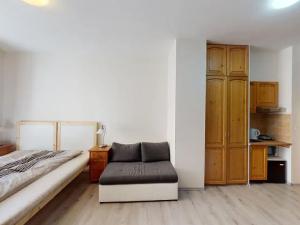 Pronájem bytu 1+kk, Praha - Vršovice, Donská, 35 m2